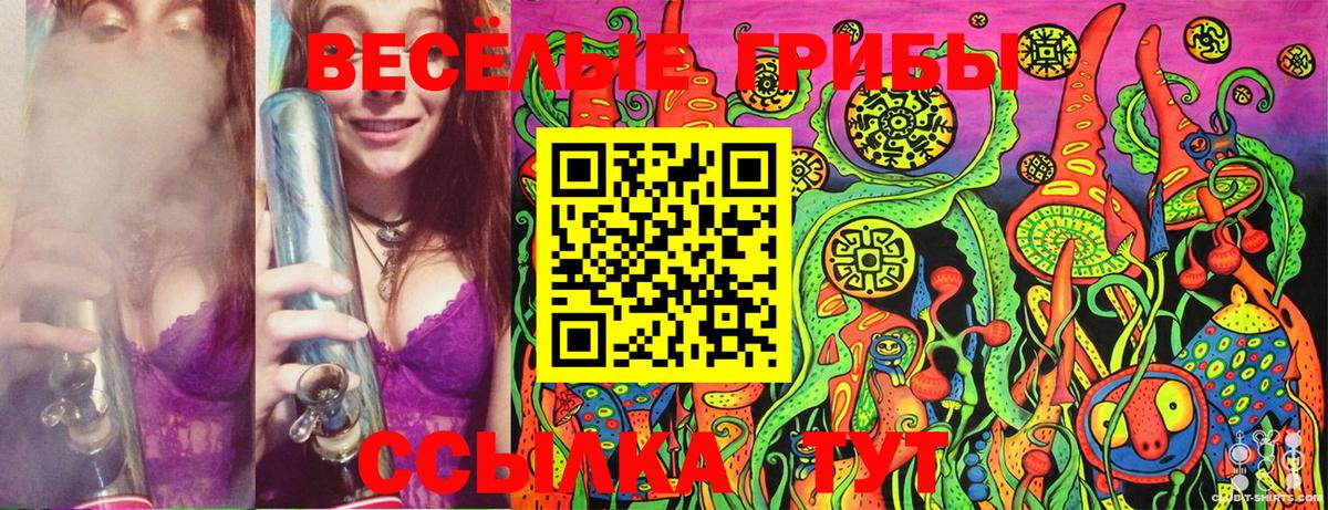 купить закладку  Вход с VPN  Кинель  Псилоцибиновые грибы Cubensis 